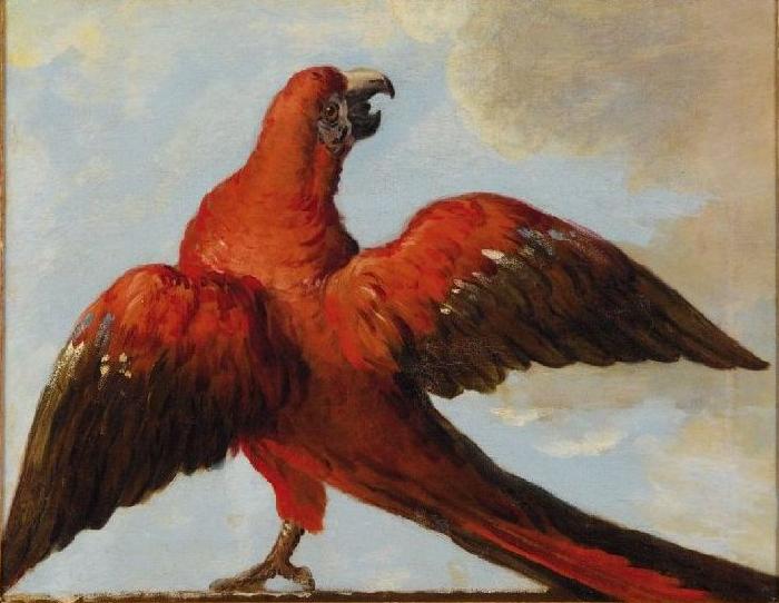 Jean Baptiste Oudry Parrot with Open Wings